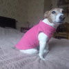 Warm Winter Vest for Small Dogs and Cats