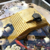 Aquatic Reptile Climbing Platform with Suction Cups