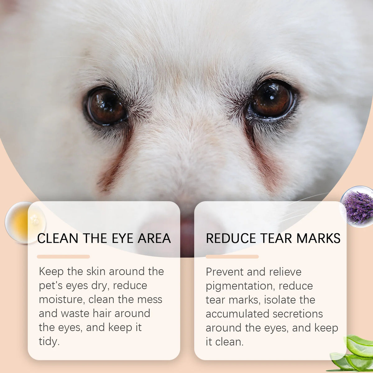 Close-up of a white dog's face showing tear marks, with a balm product next to text instructions.