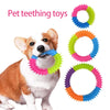 A dog is holding a colorful spiky ring toy for pet teeth cleaning and fetch play