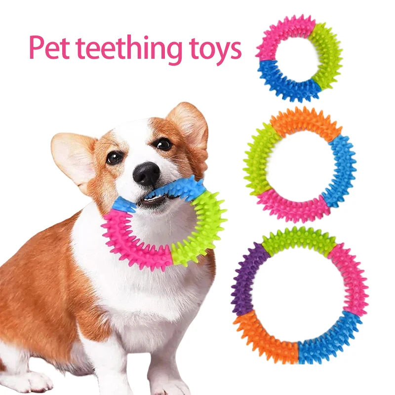 A dog is holding a colorful spiky ring toy for pet teeth cleaning and fetch play