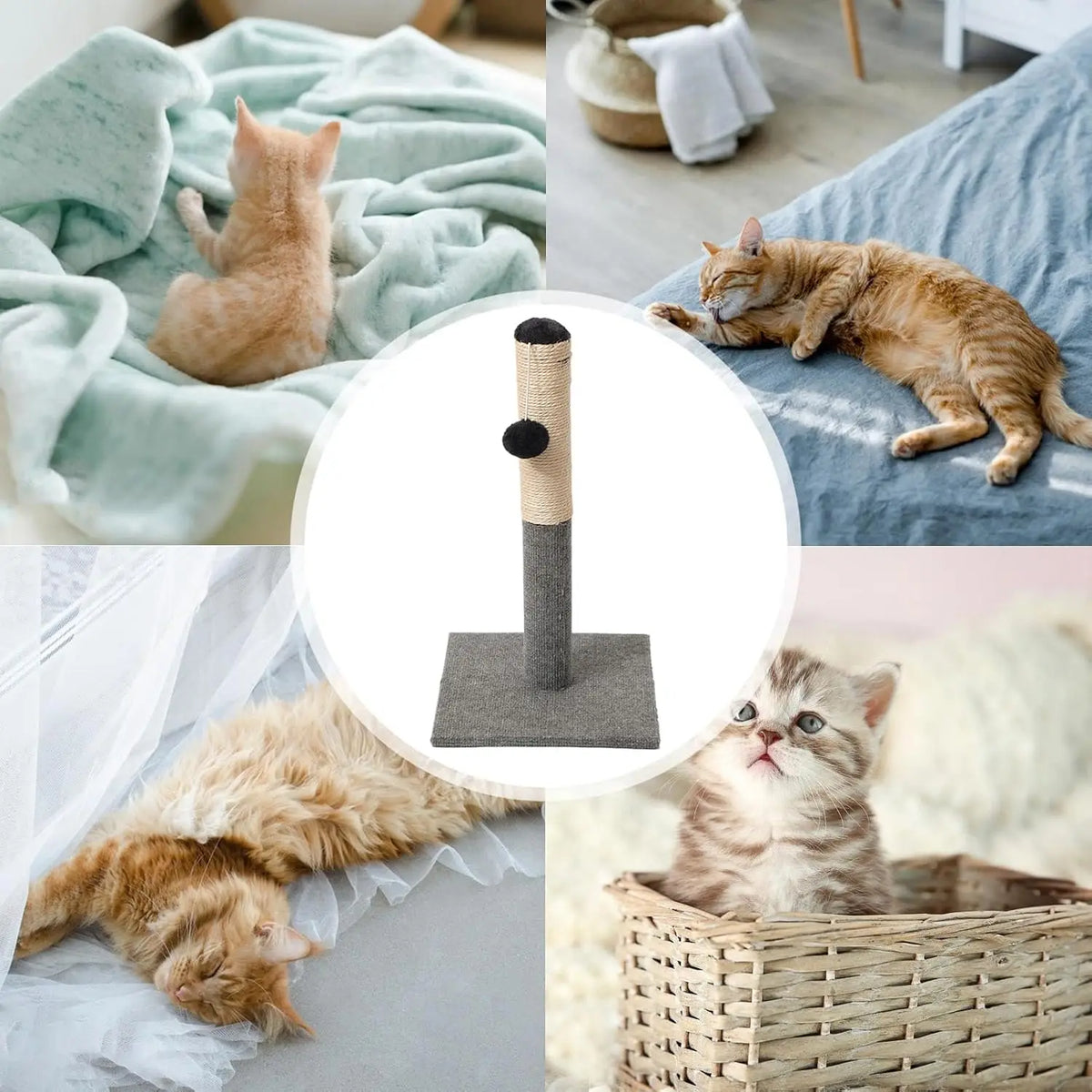 Minimalist Vertical Sisal Cat Scratcher with Detachable Design