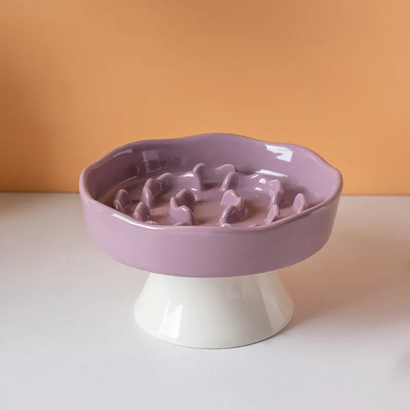 Ceramic Elevated Cat Bowl with Slow Feeder Design