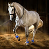 Wraps LED pour Jambes de Cheval - Lot de 4