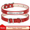 Individuell gravierte Leder-Hundehalsband mit ID-Tag