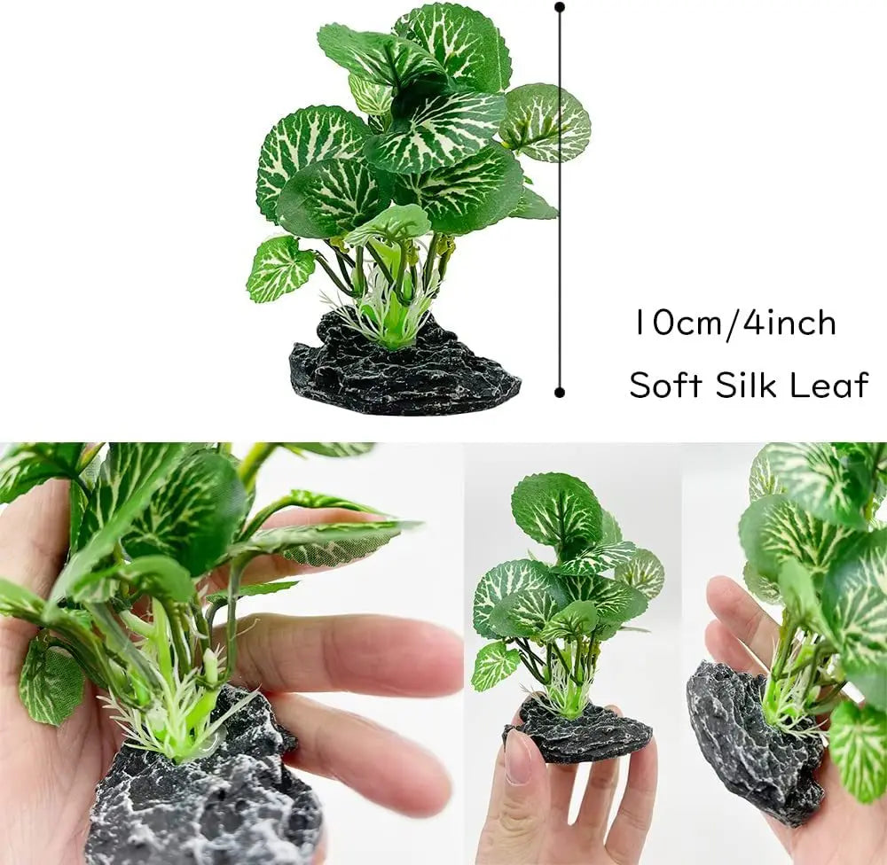 A small potted plant with soft silk leaves is shown on a dark rock base.