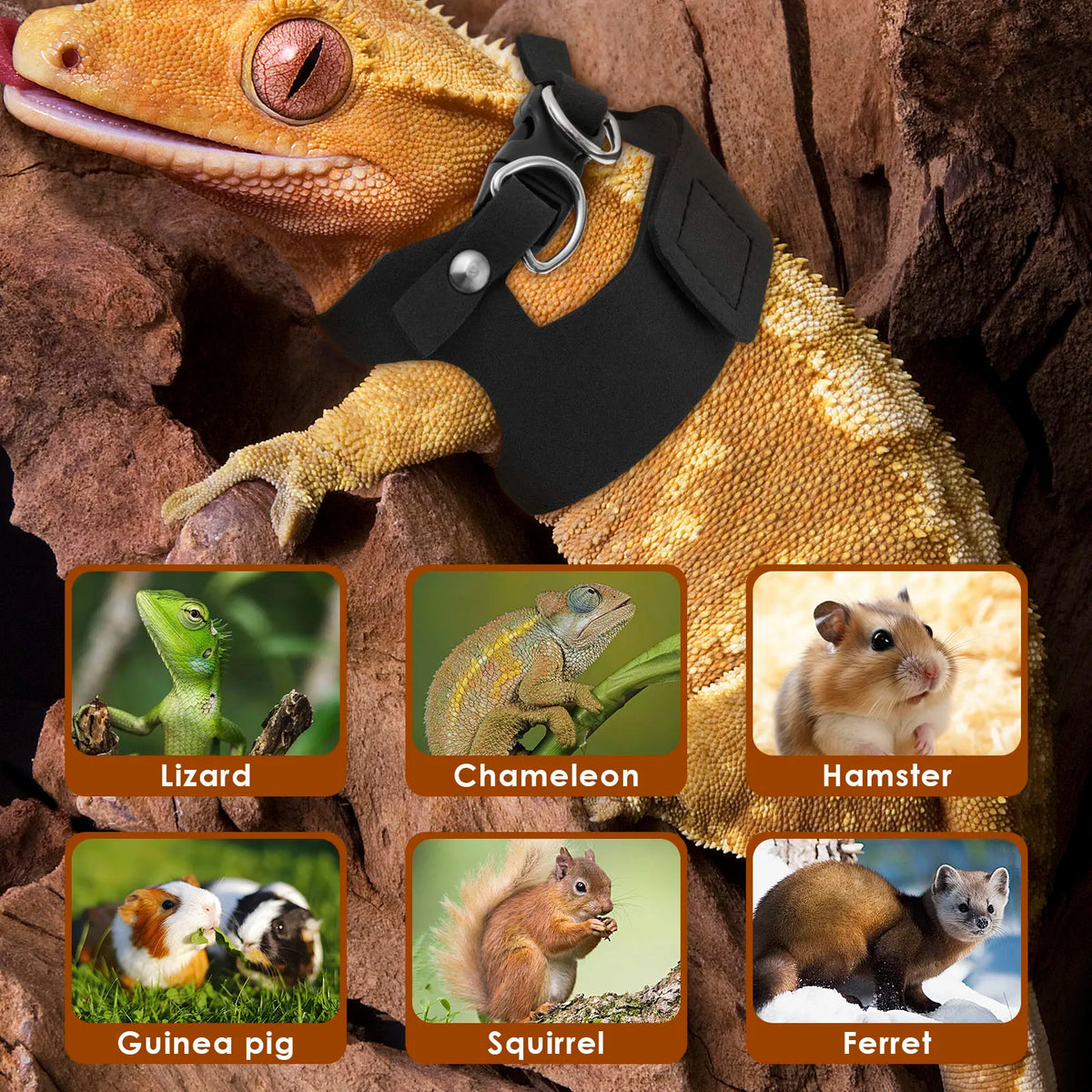 A close-up of a lizard wearing a soft leather harness and leash set, surrounded by images of various small pets.