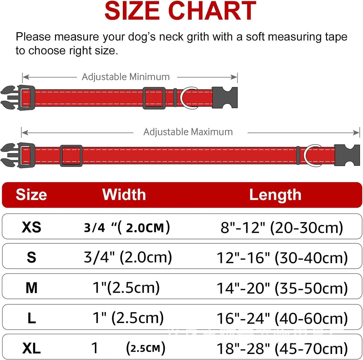 Decorative Nylon Dog Collar with Buckle Closure
