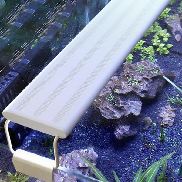 Lampe LED à clipser pour aquarium, fine et élégante