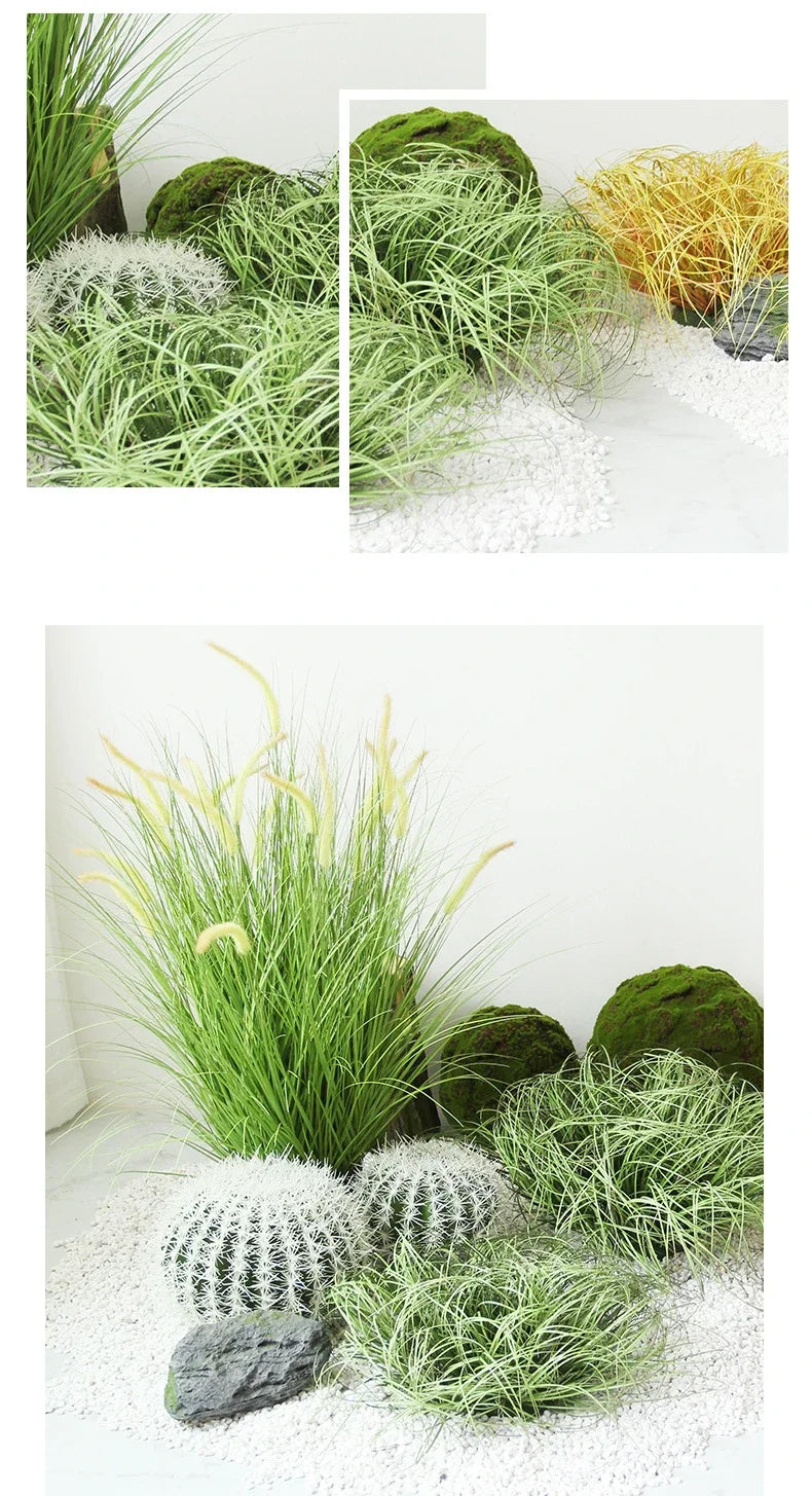 A collection of green and white ornamental grasses and mosses used as garden decoration.