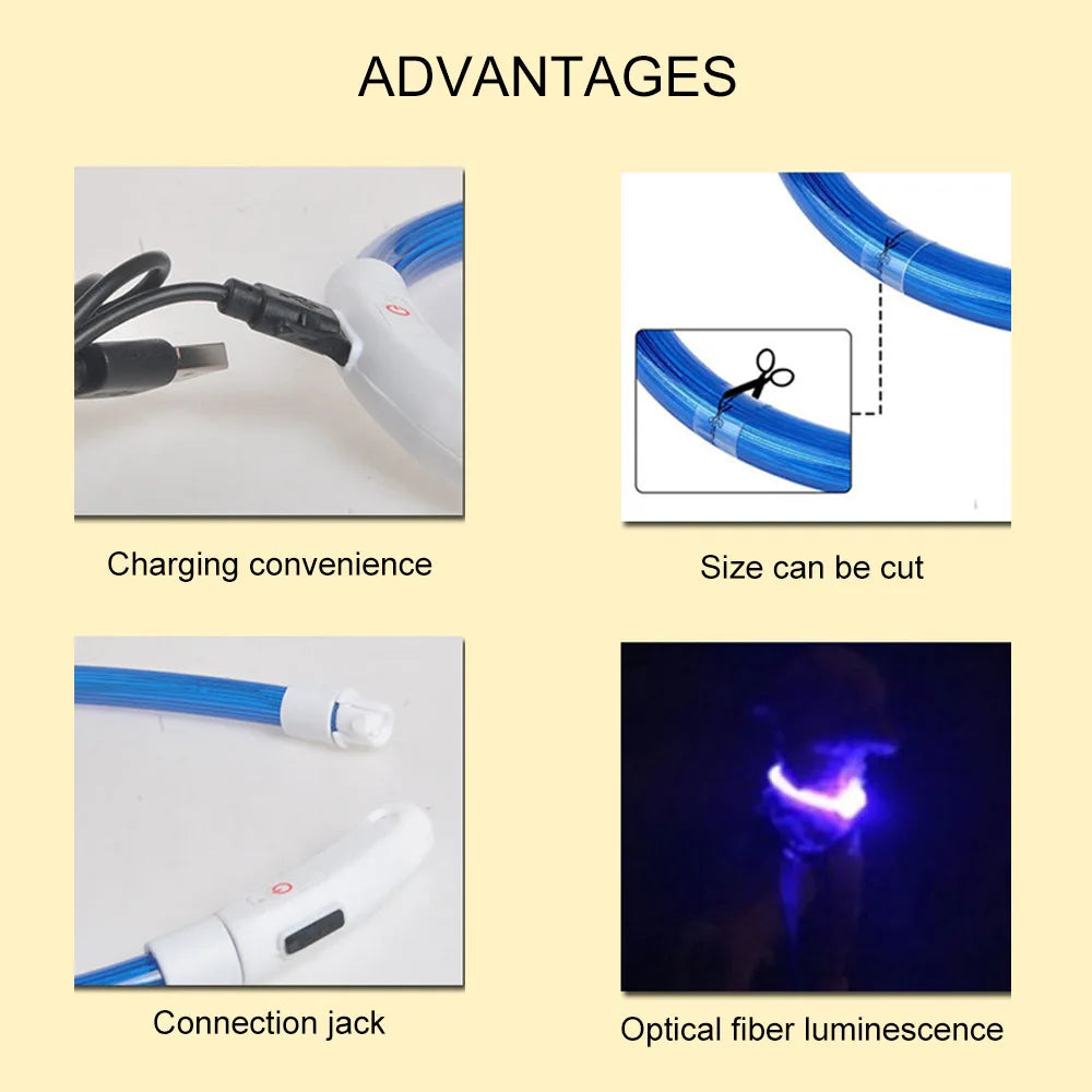 Rechargeable LED Dog Collar with USB Charging