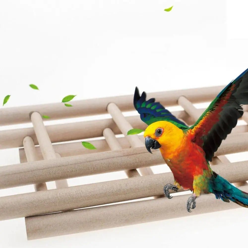 Wooden Bird Ladder with Swing and Perch for Parrots