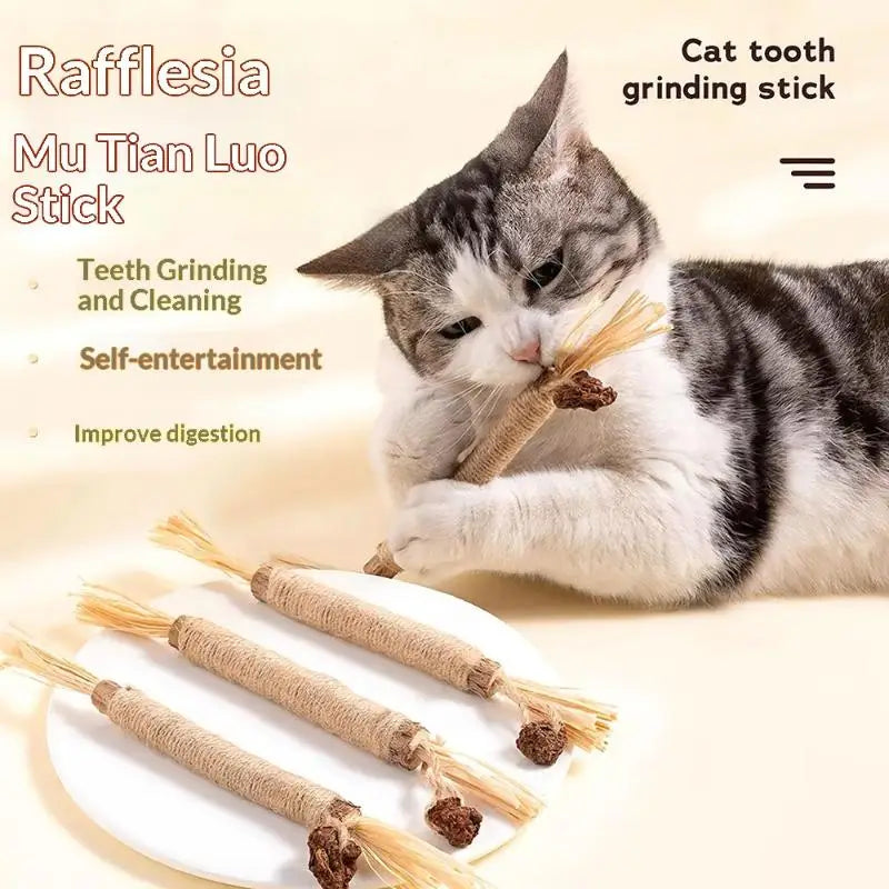 Natural Wooden Cat Teething Sticks with Sisal Rope