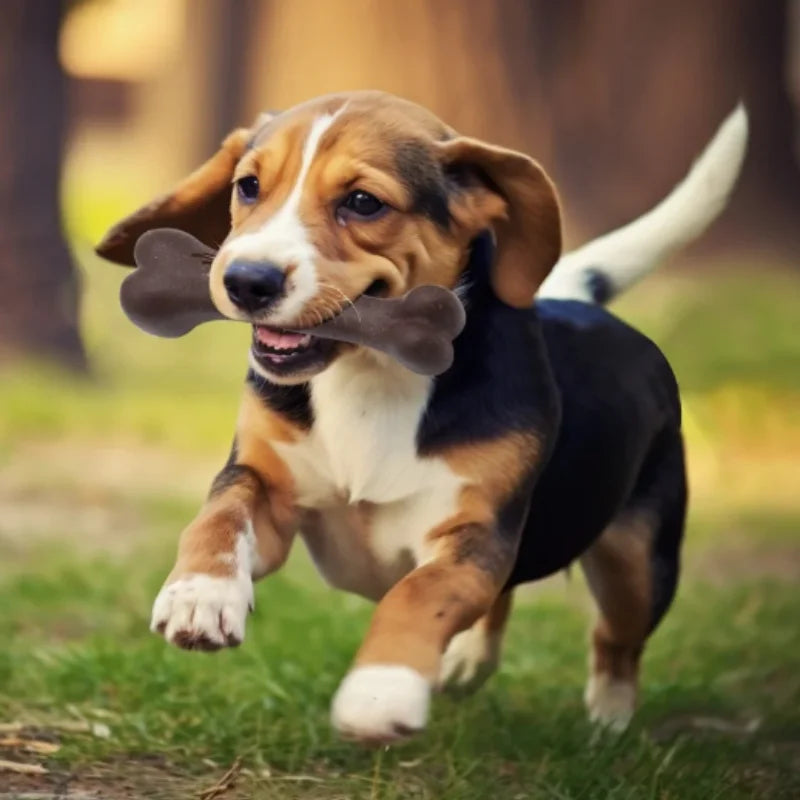 Durable Wooden Dog Chew Bone Toy for Aggressive Chewers