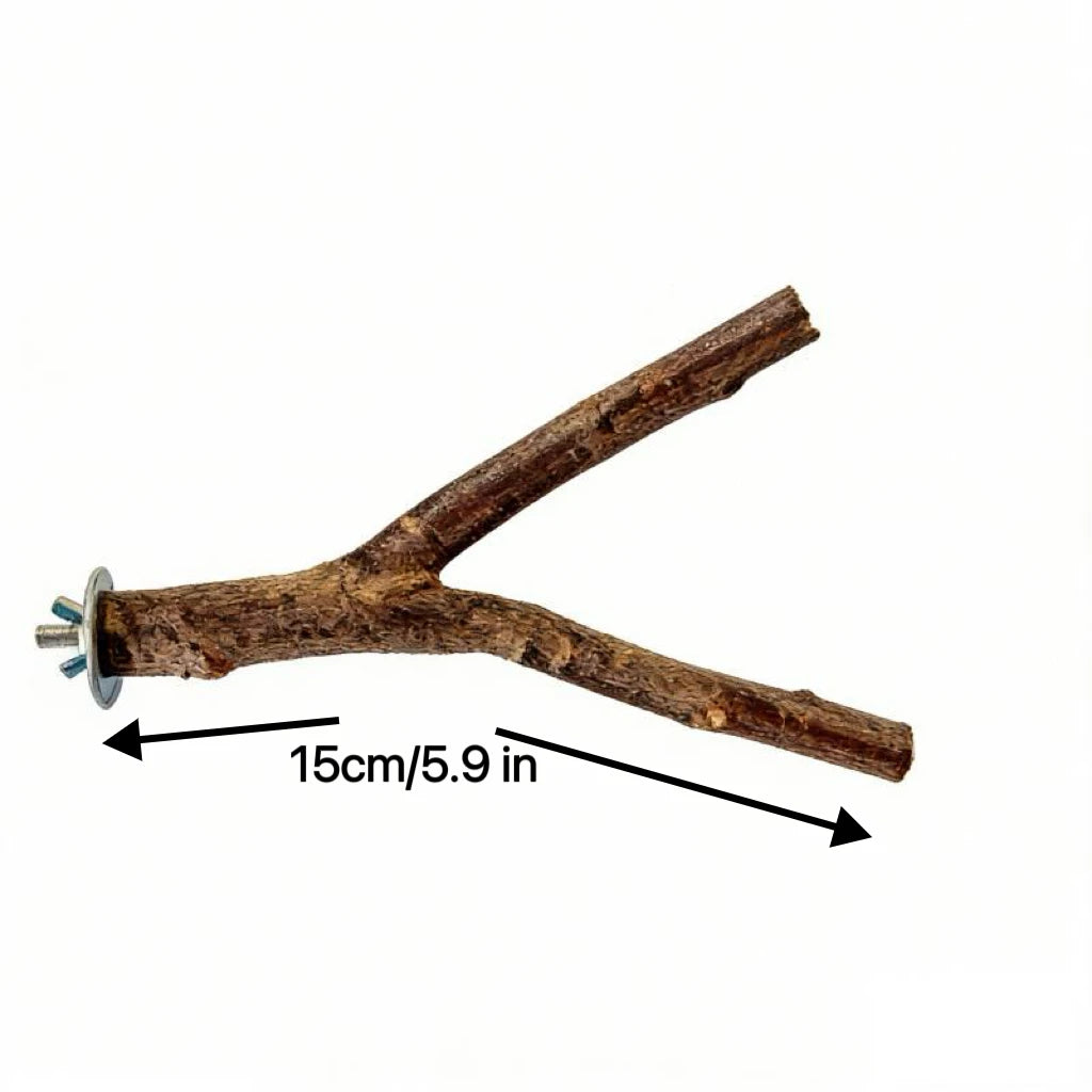 Natural Wood Forked Bird Perch for Small Parrots