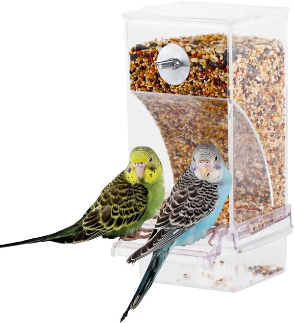 A clear anti-spill automatic bird feeder with a perch containing bird seed, featuring a blue and green parrot.