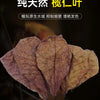 Natural Indian Almond Leaves for Aquarium Water Conditioning