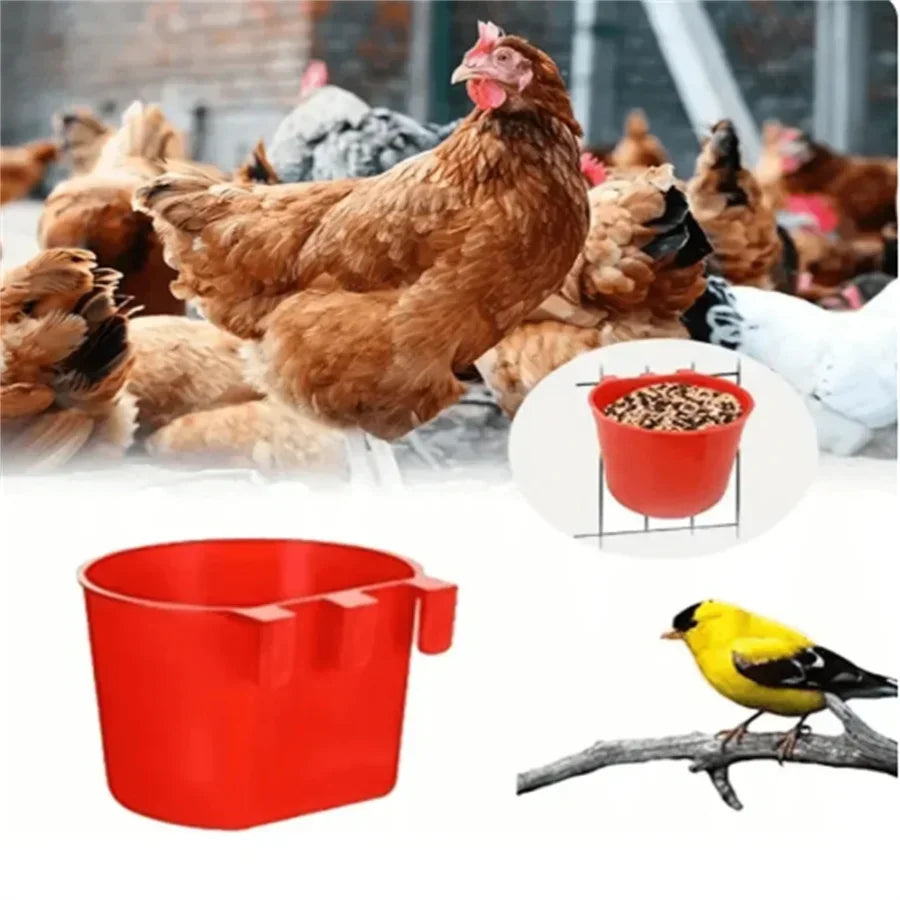 Hanging Feeder Cups for Poultry with Hook