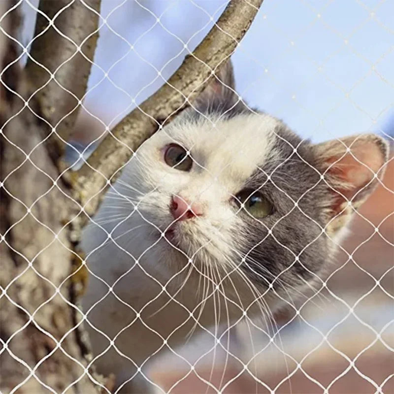 A gray and white cat looks through a wire mesh fence or window net.