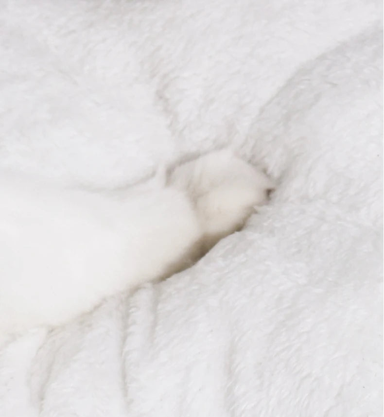 Niche Semi-Fermée pour Animaux avec Motif Panda