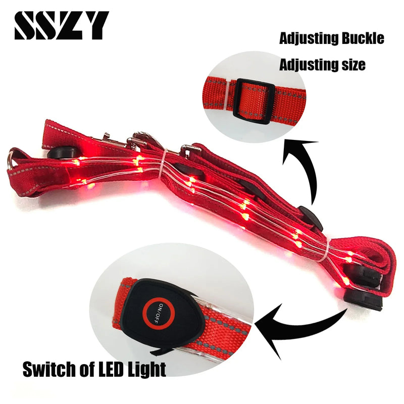 Set de Correas LED para Caballos: Seguridad y Visibilidad Nocturna