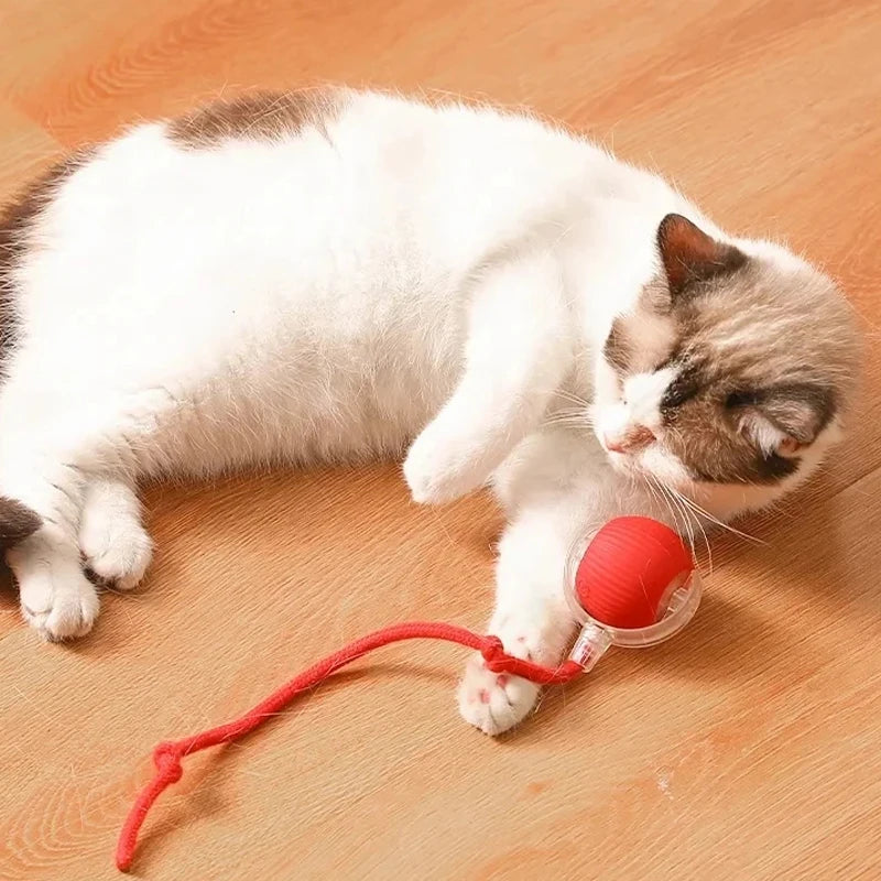 Interactive Rolling Cat Toy with Motion Sensor and Rechargeable Battery