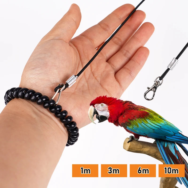 Bird Outdoor Training Harness Rope and Foot Chain
