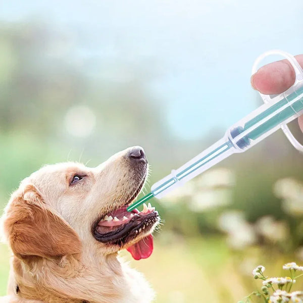 A golden retriever dog is being given medicine using a syringe with a soft silicone tip.