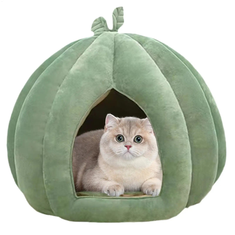 Lit pour chat en forme de citrouille d'Halloween