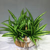 Lifelike Tropical Artificial Palm Plant for Indoor and Outdoor Decor