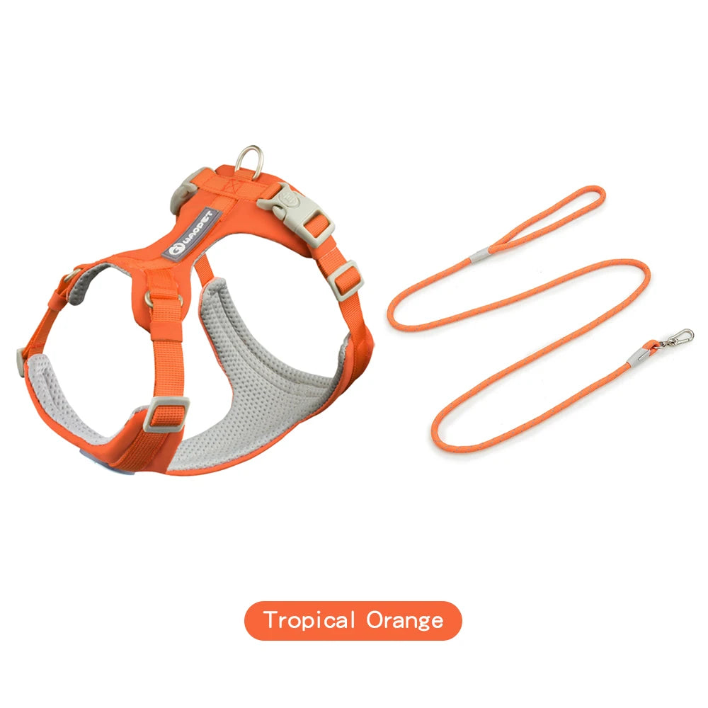 An orange adjustable dog harness and matching leash set for a dog.