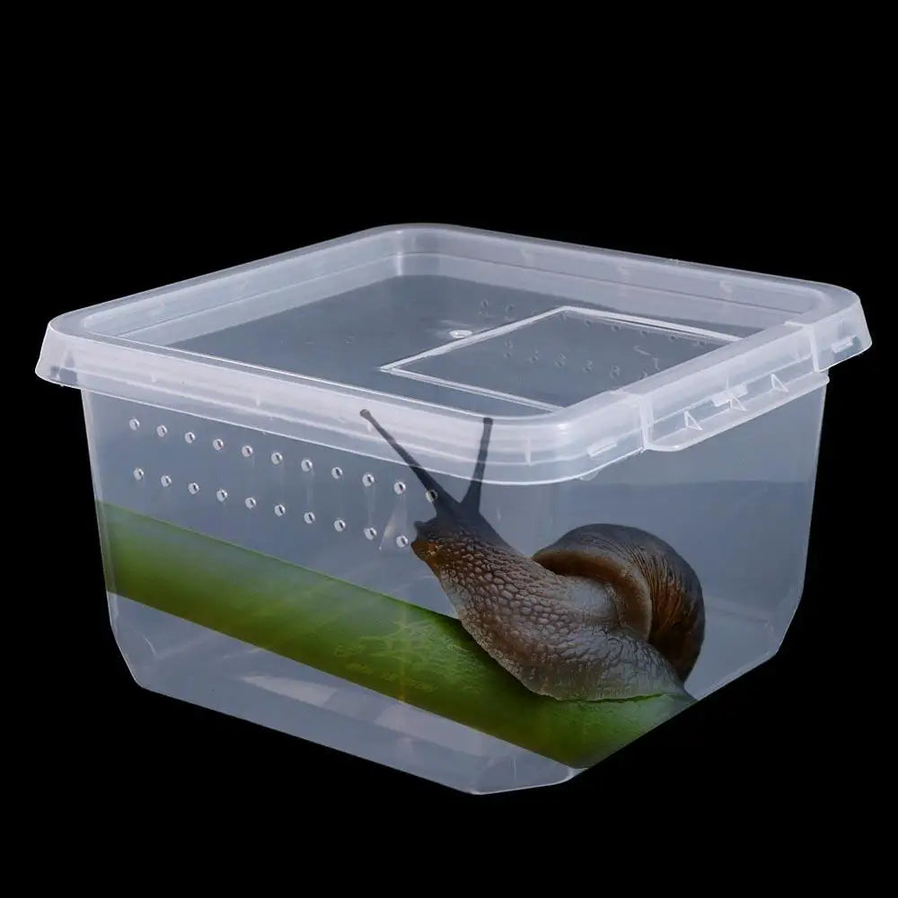 A transparent reptile habitat containing a green leaf for a small lizard.