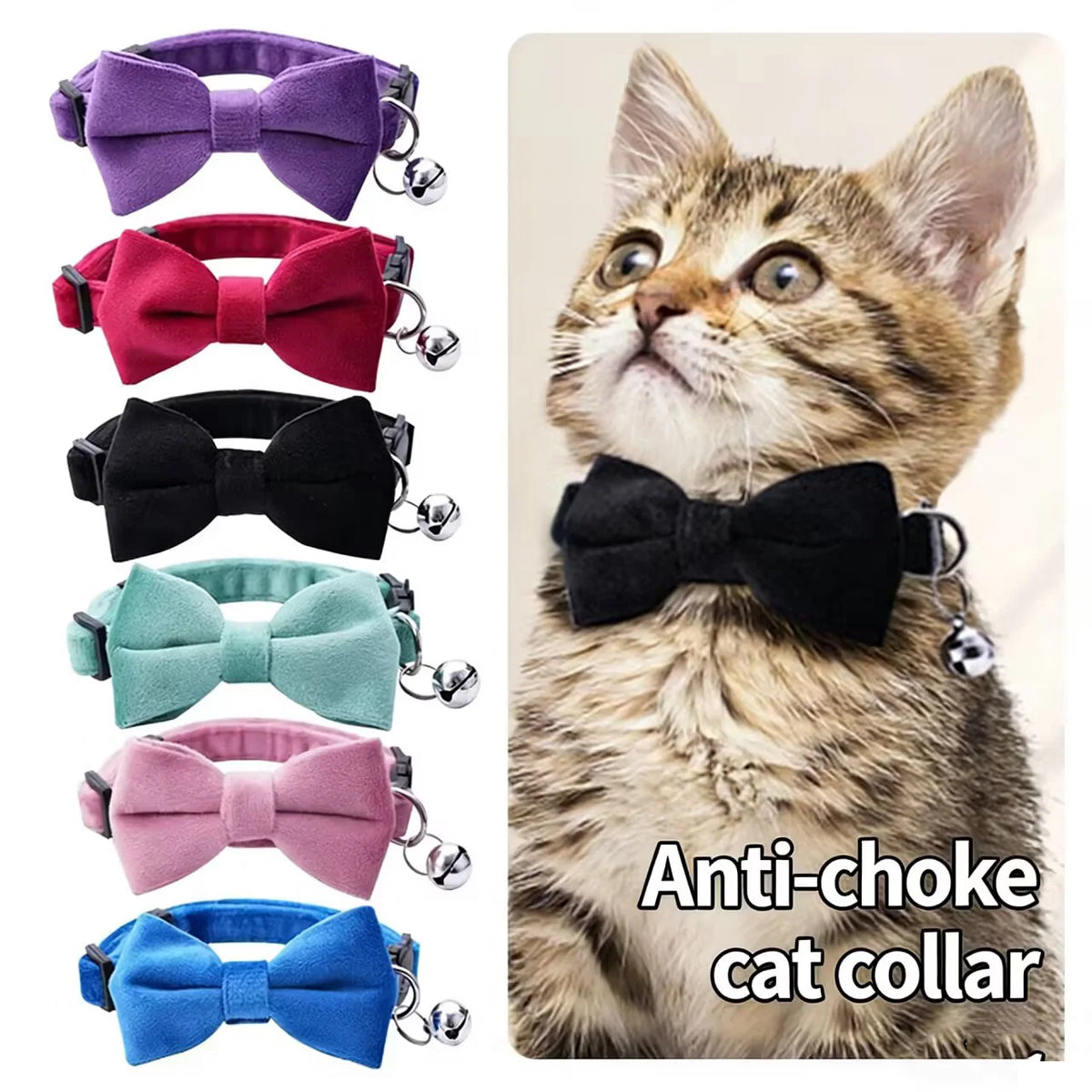 A tabby cat wearing a black bow tie anti-choke collar with a bell.