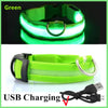 Green USB rechargeable pet safety light collar shown in various forms.