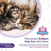 Un gatito atigrado esponjoso apoya su cabeza en un gato adulto, con texto promocionando collares de feromonas para calmar a l