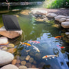 Solar Powered Pond Aerator with Battery Backup