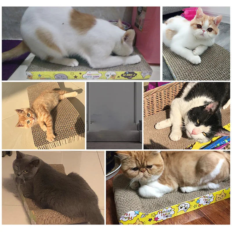 Rascador de Cartón Corrugado Doble Cara para Gatos