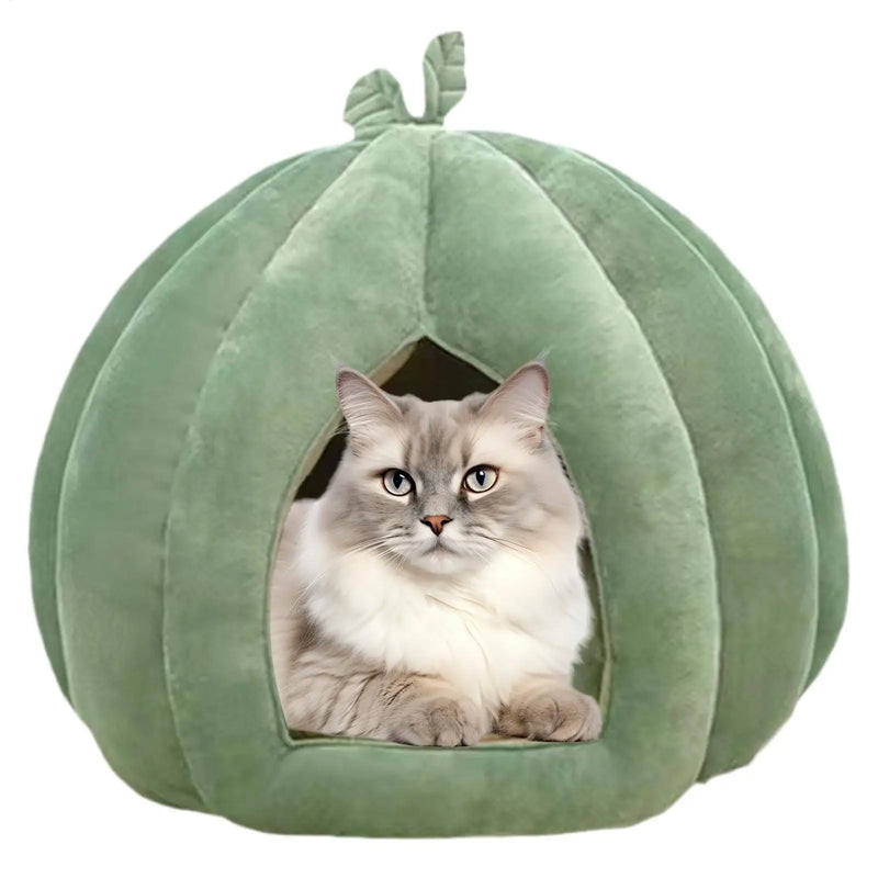 Lit pour chat en forme de citrouille d'Halloween