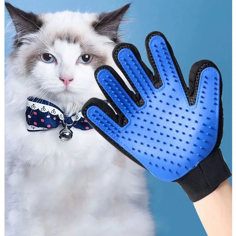 A fluffy white and gray cat looks at a blue silicone pet grooming glove with black accents.