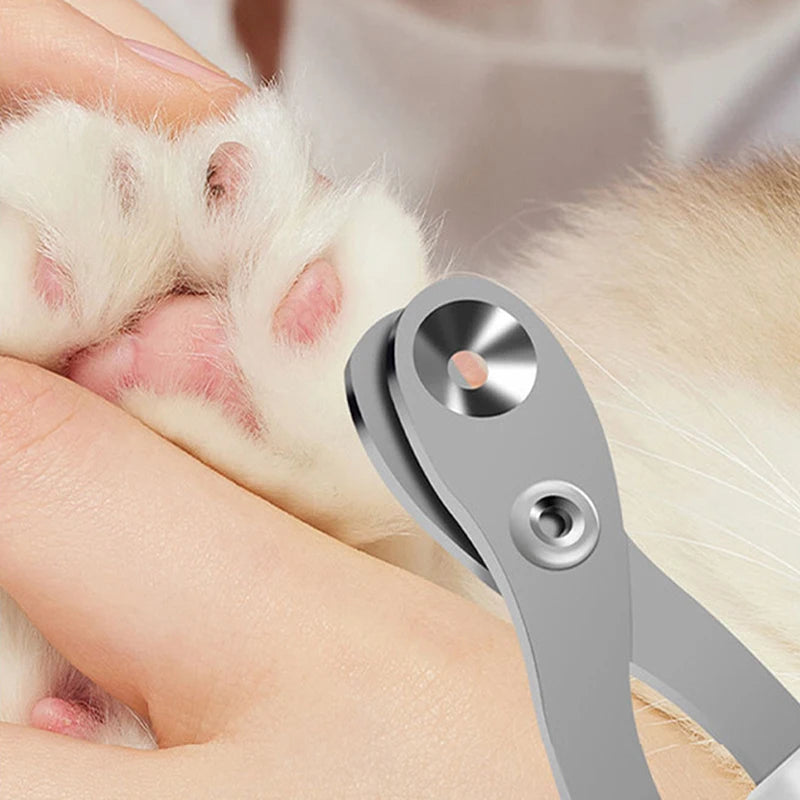 Coupe-ongles de précision pour animaux