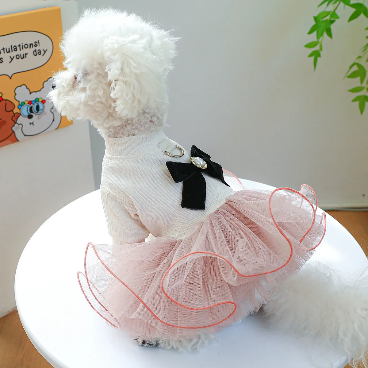 Tutu Princess Dog Dress with Lace Trim