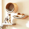 Wall-Mounted Wooden Cat Climbing Set with Sisal Scratching Post and Hammock
