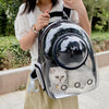 A person holds a transparent pet backpack containing a white cat.