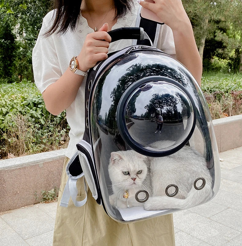 A person holds a transparent pet backpack containing a white cat.