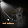 A dog is visible in low light, illuminated by a bright beam of light from the left, highlighting a reflective leash.