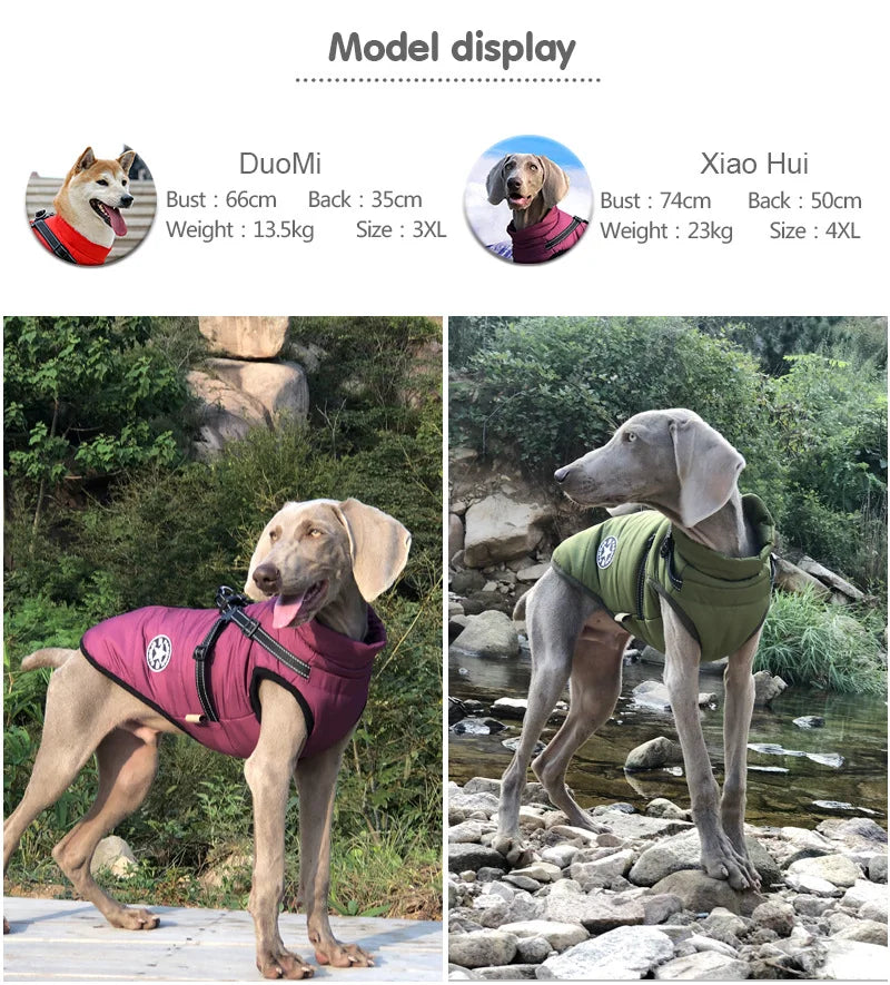 Waterproof Dog Jacket with Harness - Winter Coat for Dogs