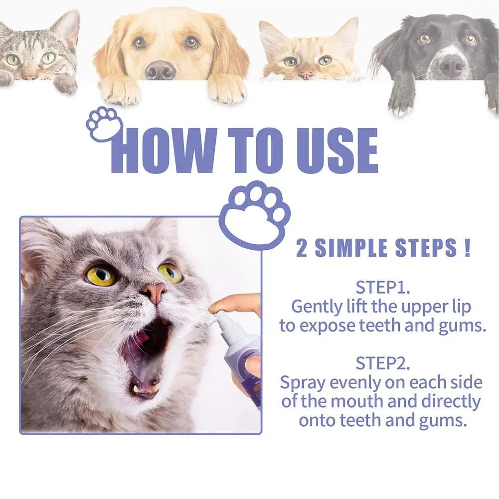Instructional image showing a cat and a dog, along with steps for using an oral care spray on teeth and gums.