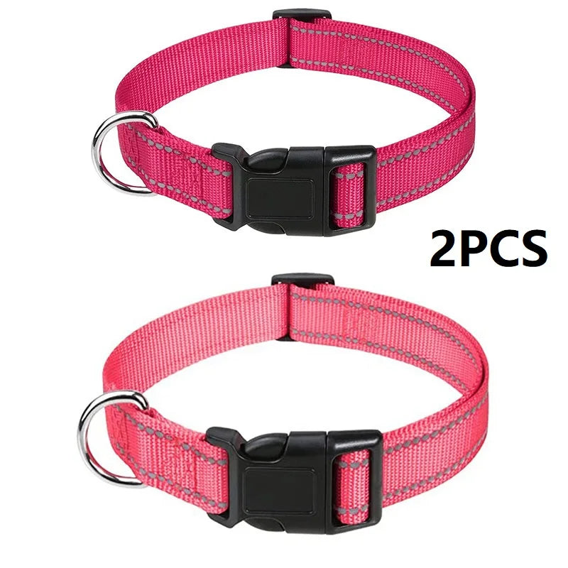 Decorative Nylon Dog Collar with Buckle Closure