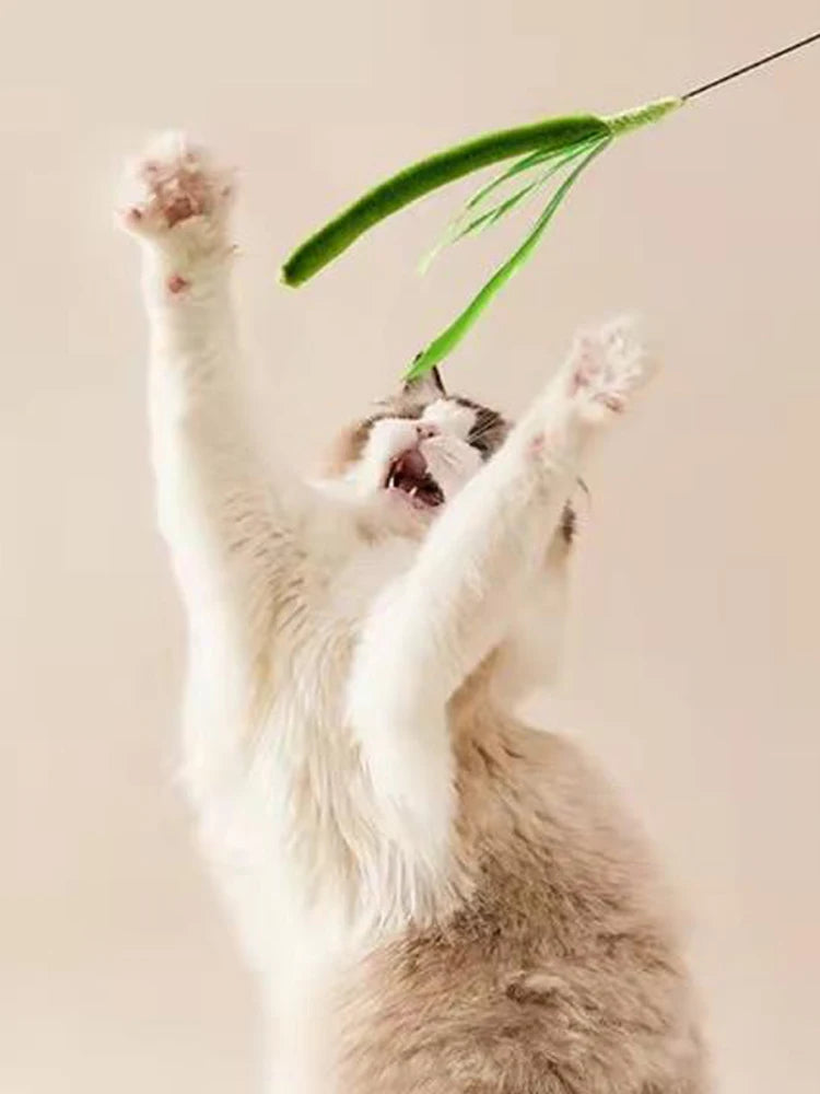 Jouet Interactif pour Chat à la Plume