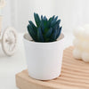 A small, dark green artificial cactus succulent bonsai plant in a white ceramic pot resting on a wooden surface.